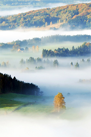 Michal N�mejc